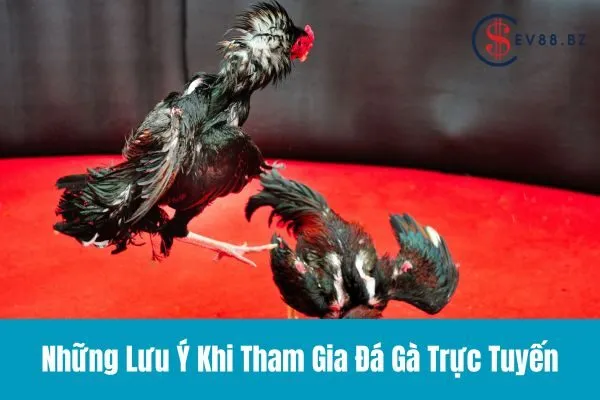 Đá Gà Trực Tuyến